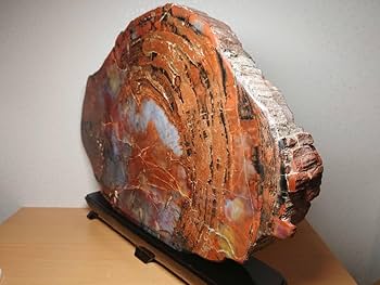 珪化木 9kg アリゾナ珪化木 化石 原石 鑑賞石 自然石 ジャスパー 赤石 珪化木 9kg アリゾナ珪化木 化石 原石 鑑賞石 自然石 ジャスパー